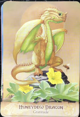 Field Guide to Garden Dragons